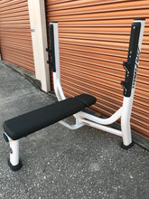 Brand New Life Fitness Flat Weight Bench