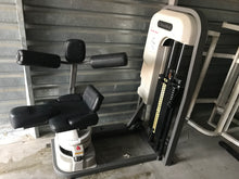 Nautilus Rotary Torso