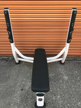 Brand New Life Fitness Flat Weight Bench